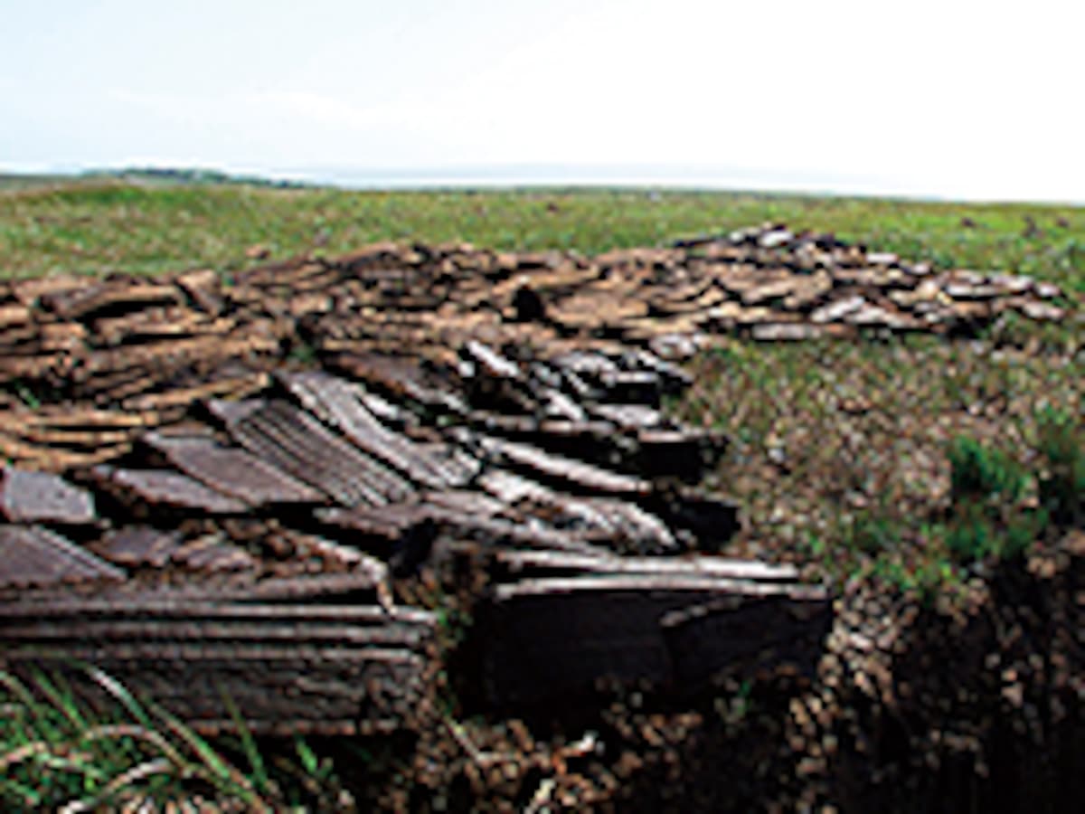 モンド初期産出 スモーキーエレスチャル水入り 希少品