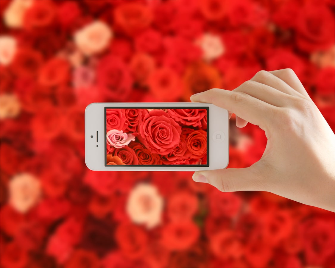 アプリを使ってプロっぽい画像を撮影 作成する方法 Iphoneアプリ All About