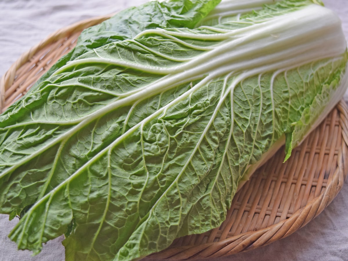 白菜の冷凍保存方法 洗う 洗わない おすすめの野菜保存法 毎日の野菜 フルーツレシピ All About