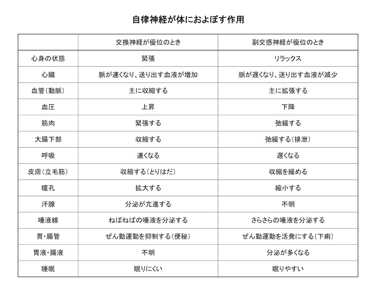 原因不明の不調が続くのは 自律神経失調症 脳 神経の病気 all about