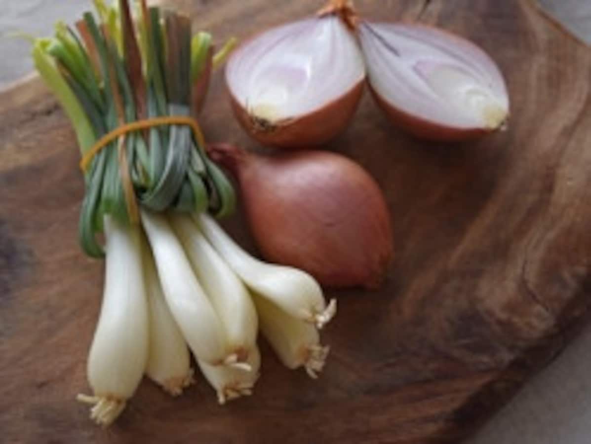 エシャロットはどんな野菜？食べ方とレシピ [毎日の野菜・フルーツ