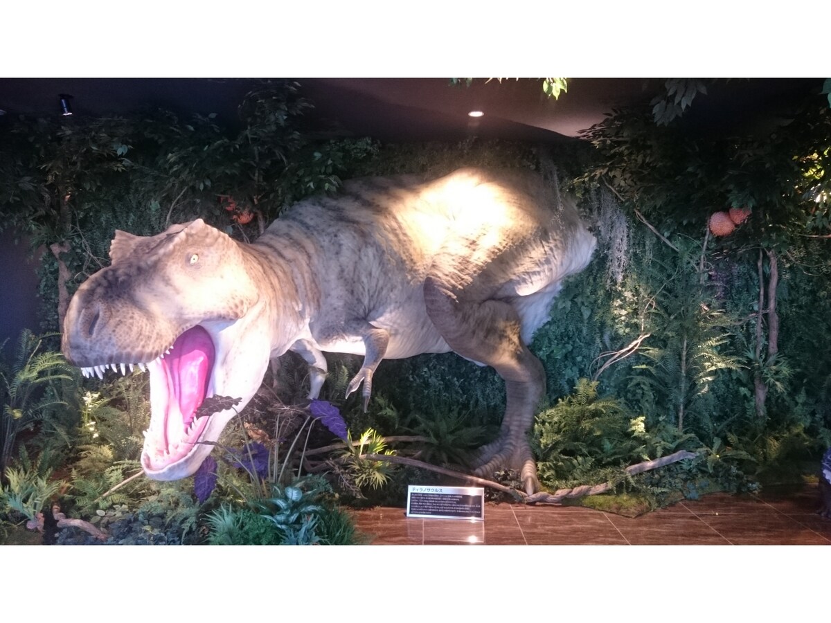 変なホテル」で注目！4月中間決算H.I.Sの株主優待 [株主優待] All About