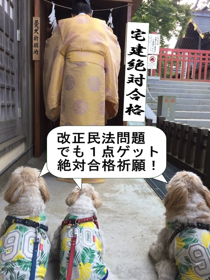 宅建試験に出題される条文対策 ここが出る改正民法 宅地建物取引士 宅建 試験 All About 宅建試験に出題される条文対策 ここが出る改正民法 宅地建物取引士 宅建 試験 All About