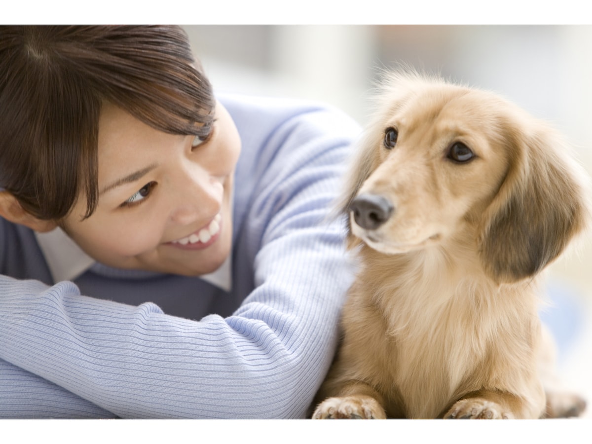 身体を横に反らす（Turning the side）：犬のカーミング
