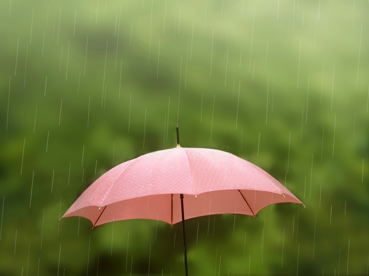雨の結婚式 ゲストの持ち物や服装 スピーチのコツ 結婚式 披露宴の準備 All About
