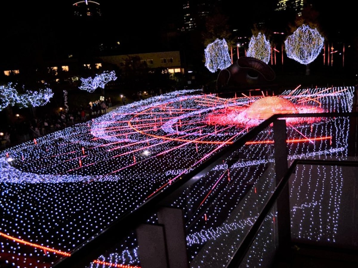 1)　夜のイルミネーション Nights of Christmas Lights Downtown Tokyo 首都圏のライト