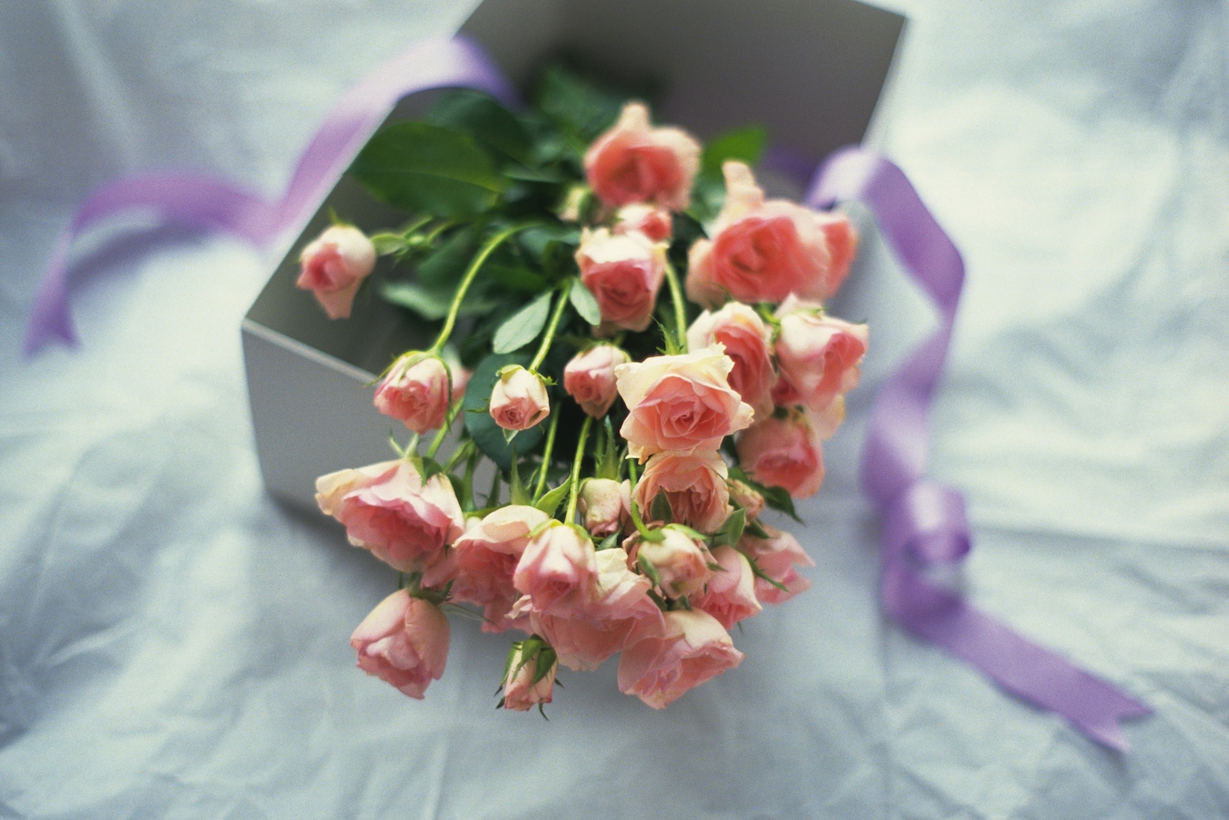 結婚祝いで贈るのはタブー 縁起の悪いプレゼント8 結婚式 披露宴マナー All About