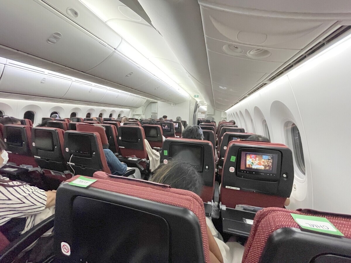 JAL 日本航空 機内 ブランケット ビジネスクラス JAL 日本航空 機内