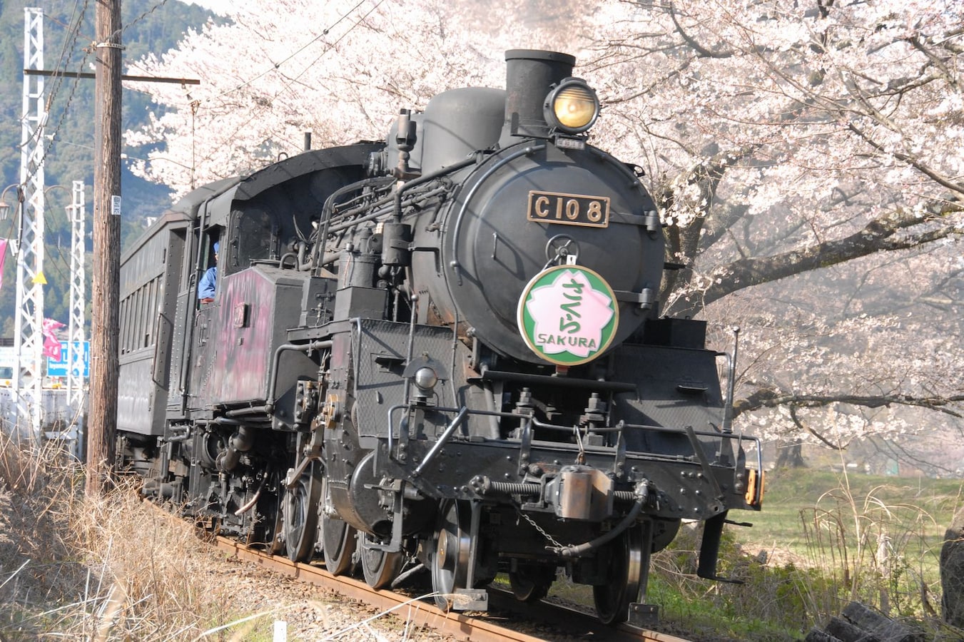 大井川鐵道で絶景の桜を見に行こう 家山の桜トンネル 鉄道 All About 大井川鐵道で絶景の桜を見に行こう 家山の桜トンネル 鉄道 All About
