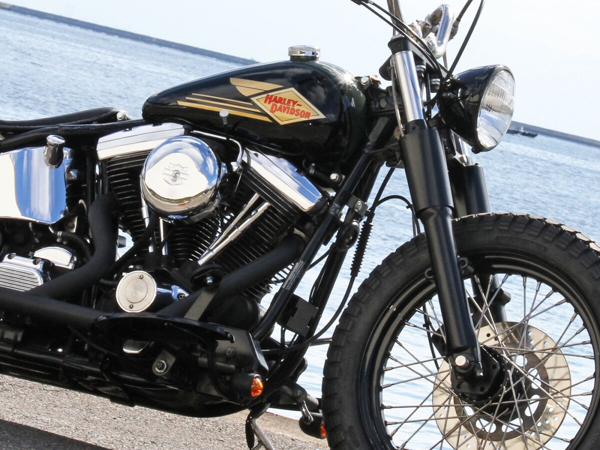 ガイド厳選！理想のハーレーダビッドソン5台 [ハーレーダビッドソン