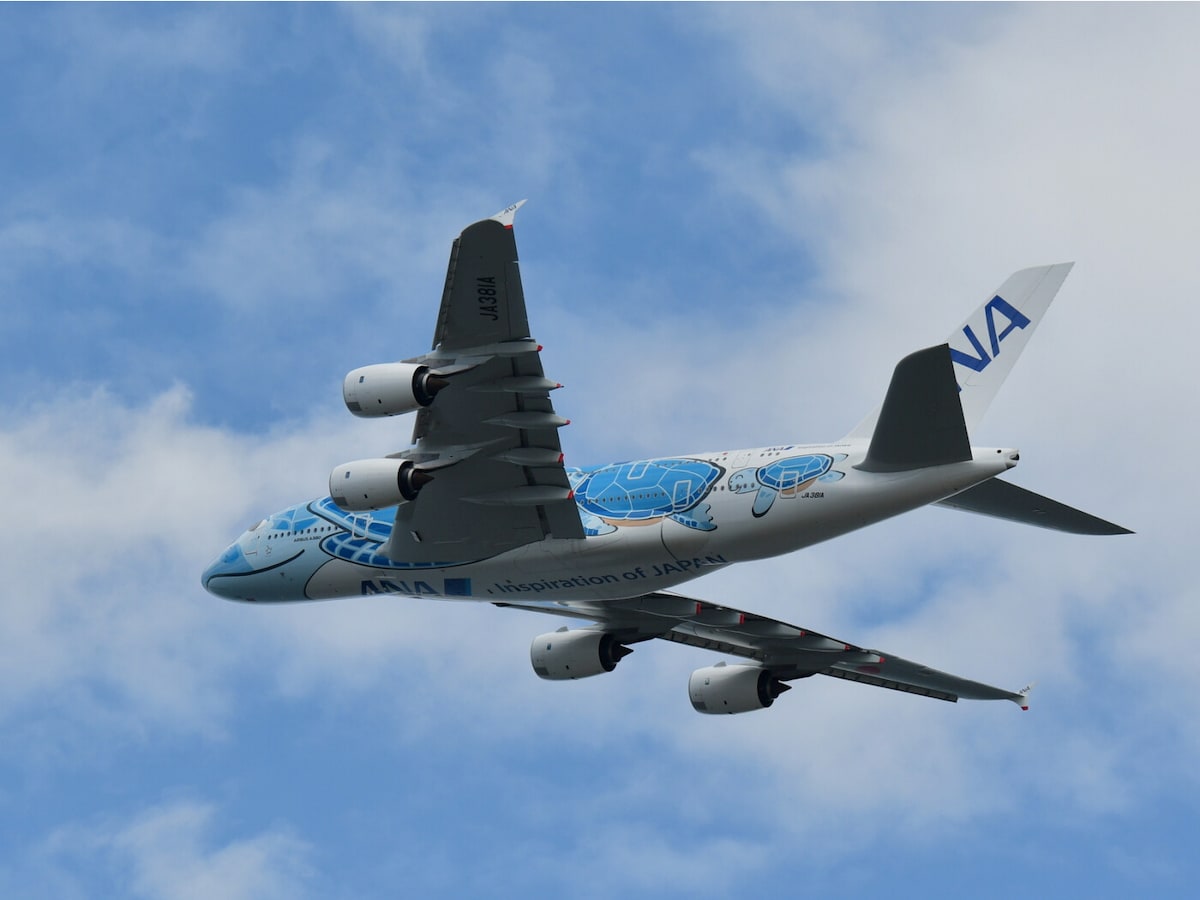 2/2 ANAやJALも！デザインがかわいい「特別塗装機」11選 [航空券