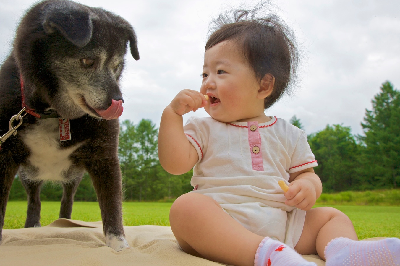 [最新] 赤ちゃん 犬 519299赤ちゃん 犬アレルギー 症状