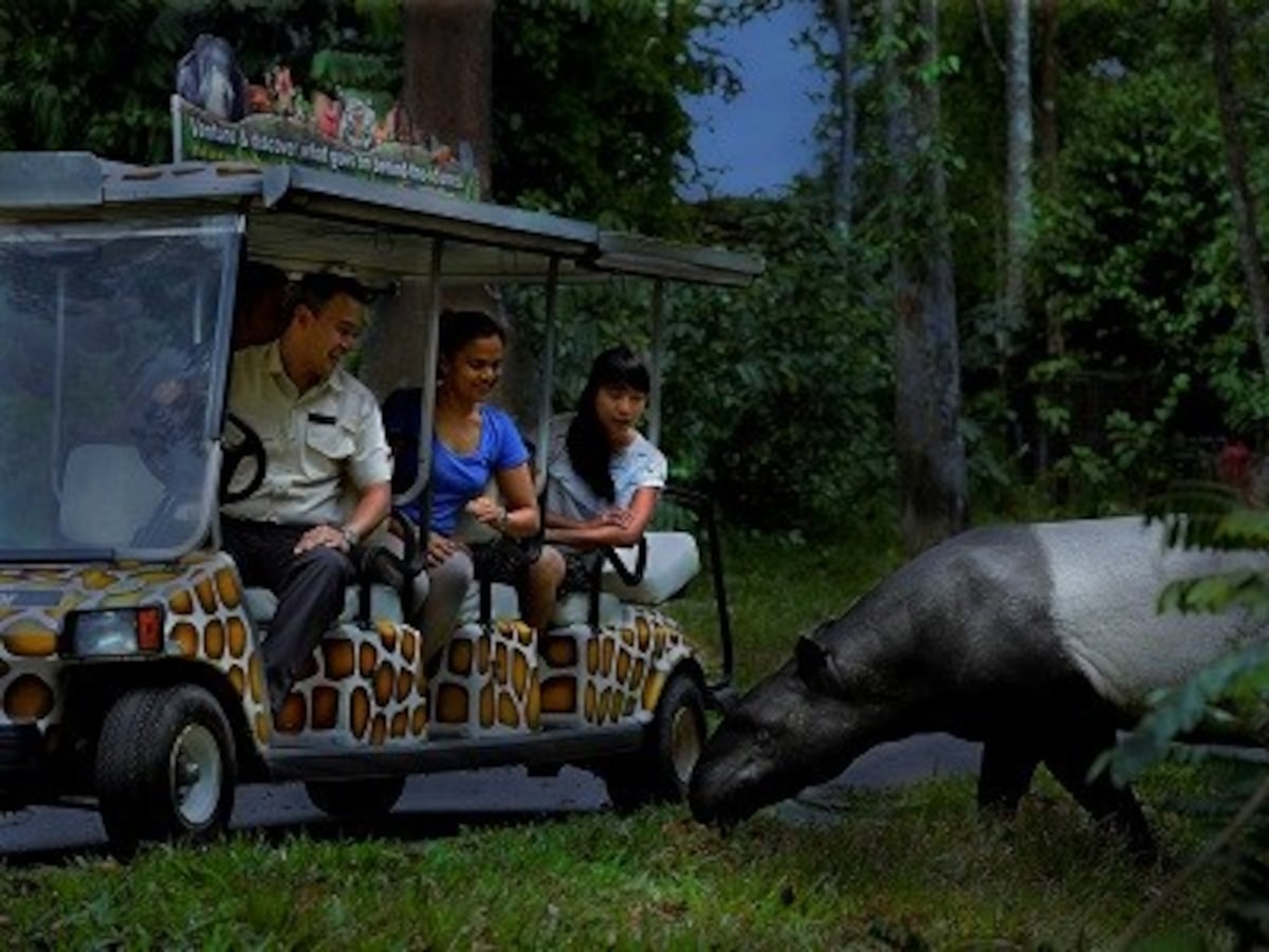 シンガポールナイトサファリの楽しみ方を徹底解説 シンガポール All About