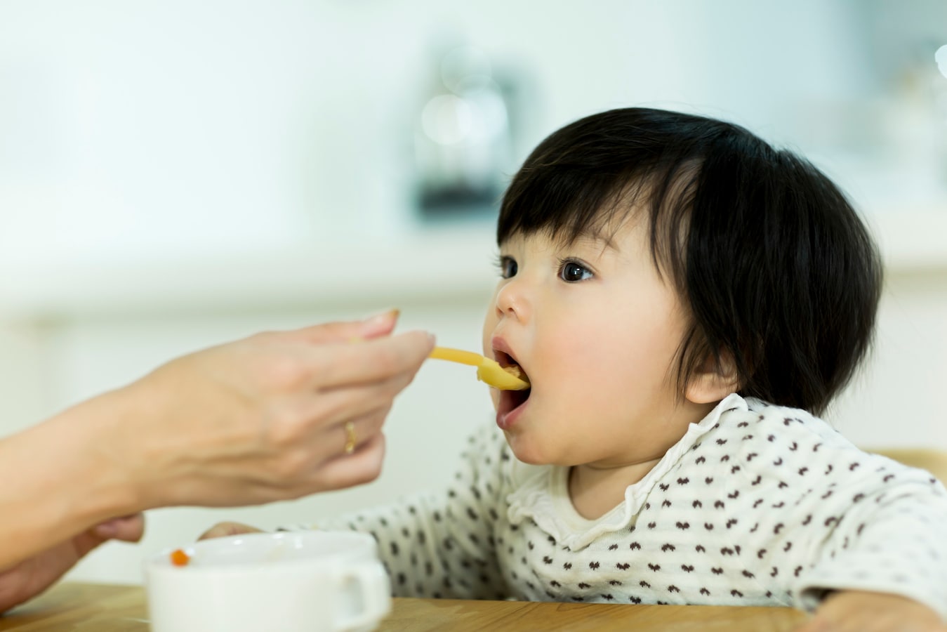 使い勝手の良い フィセル ベビー用食器３点セット ハッピーミールセット ホッペッタ ボボ