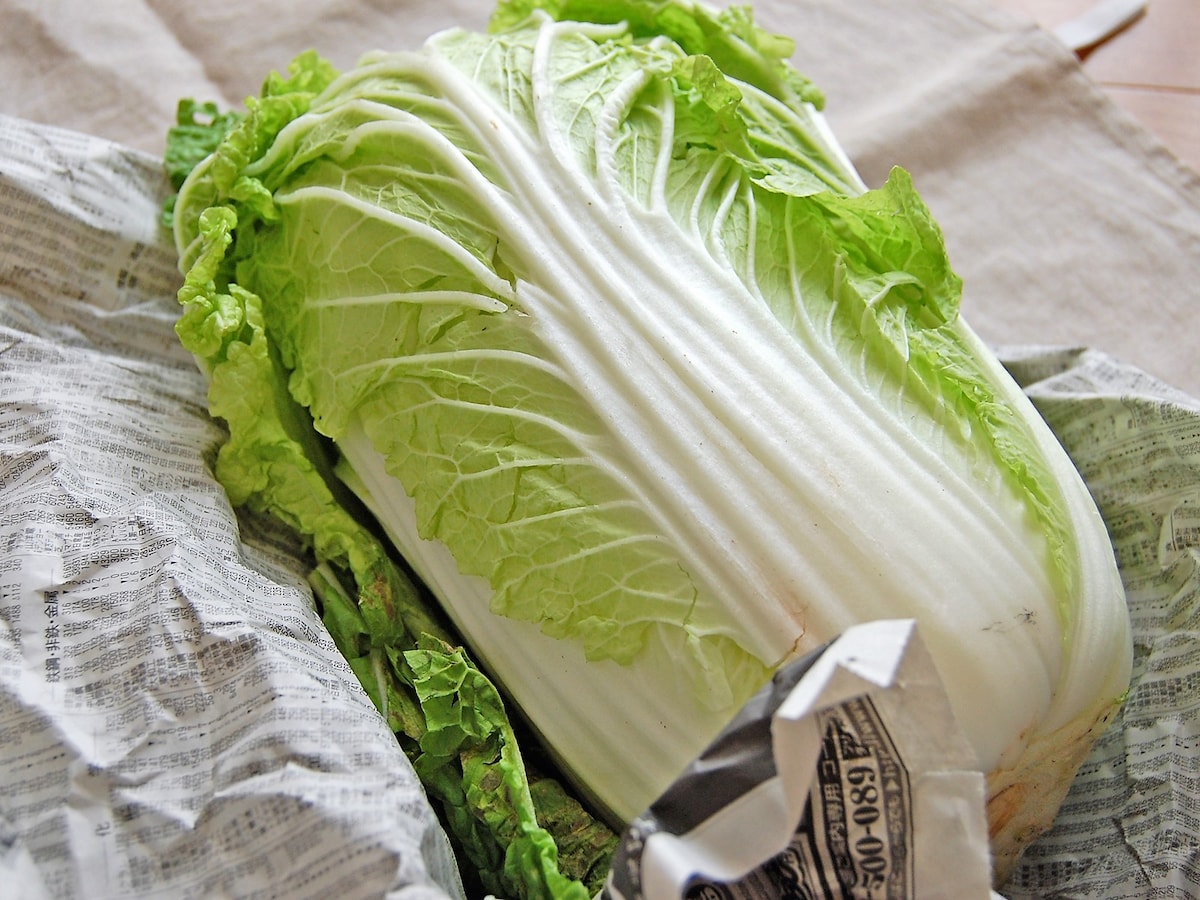 白菜の洗い方 下ごしらえ 切り方を解説 毎日の野菜 フルーツレシピ All About