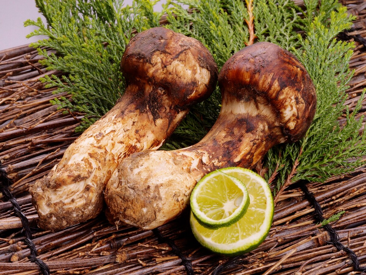 香り松茸 味しめじ 松茸のカロリー 栄養素 健康効果 食と健康 All About