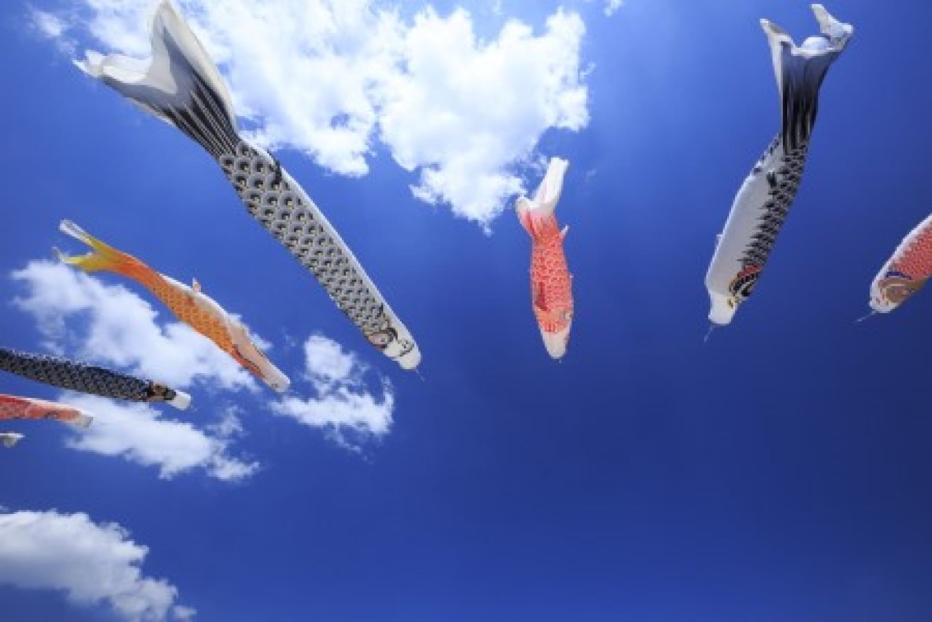 5月の行事 暮らしの歳時記まとめ ゴールデンウィークや初夏の過ごし方 暮らしの歳時記 All About 5月の行事 暮らしの歳時記まとめ ゴールデンウィークや初夏の過ごし方 暮らしの歳時記 All About