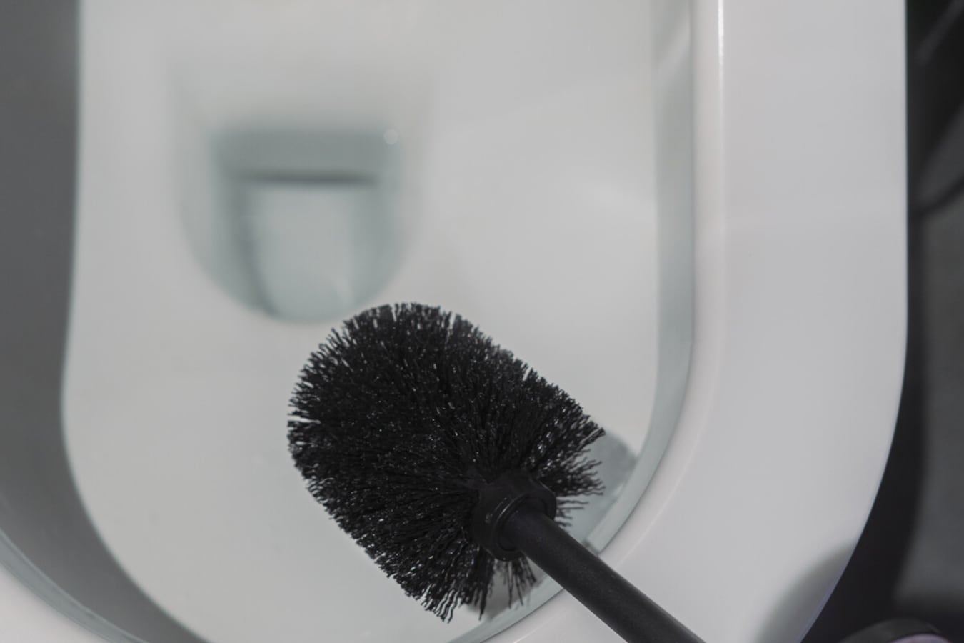 臭くないトイレ の秘密を知れば本当の 敵 が見えてくる 正解 トイレ掃除 10の法則 最新版 掃除 All About