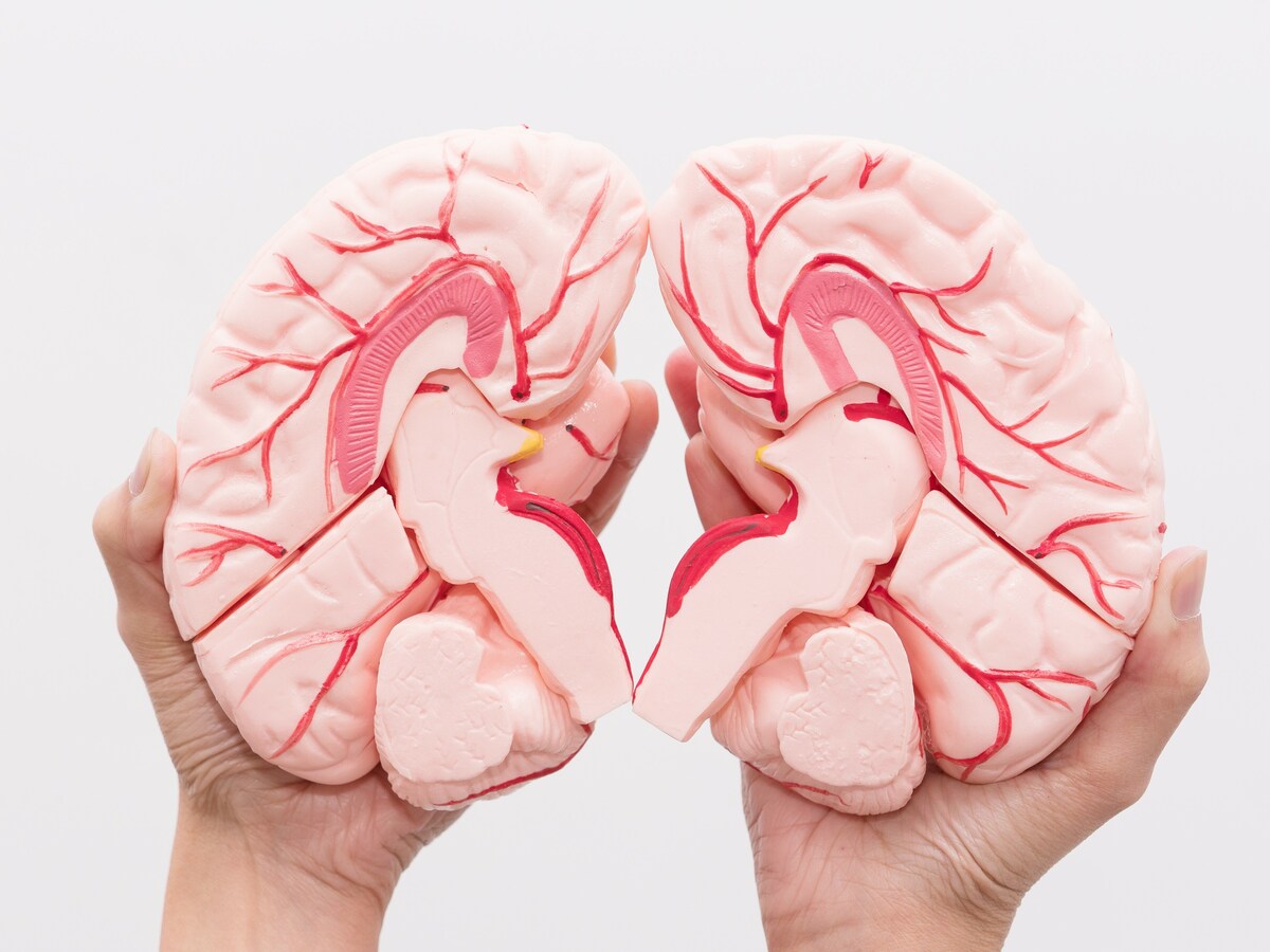 頭脳を鋭敏に保つためのヒント