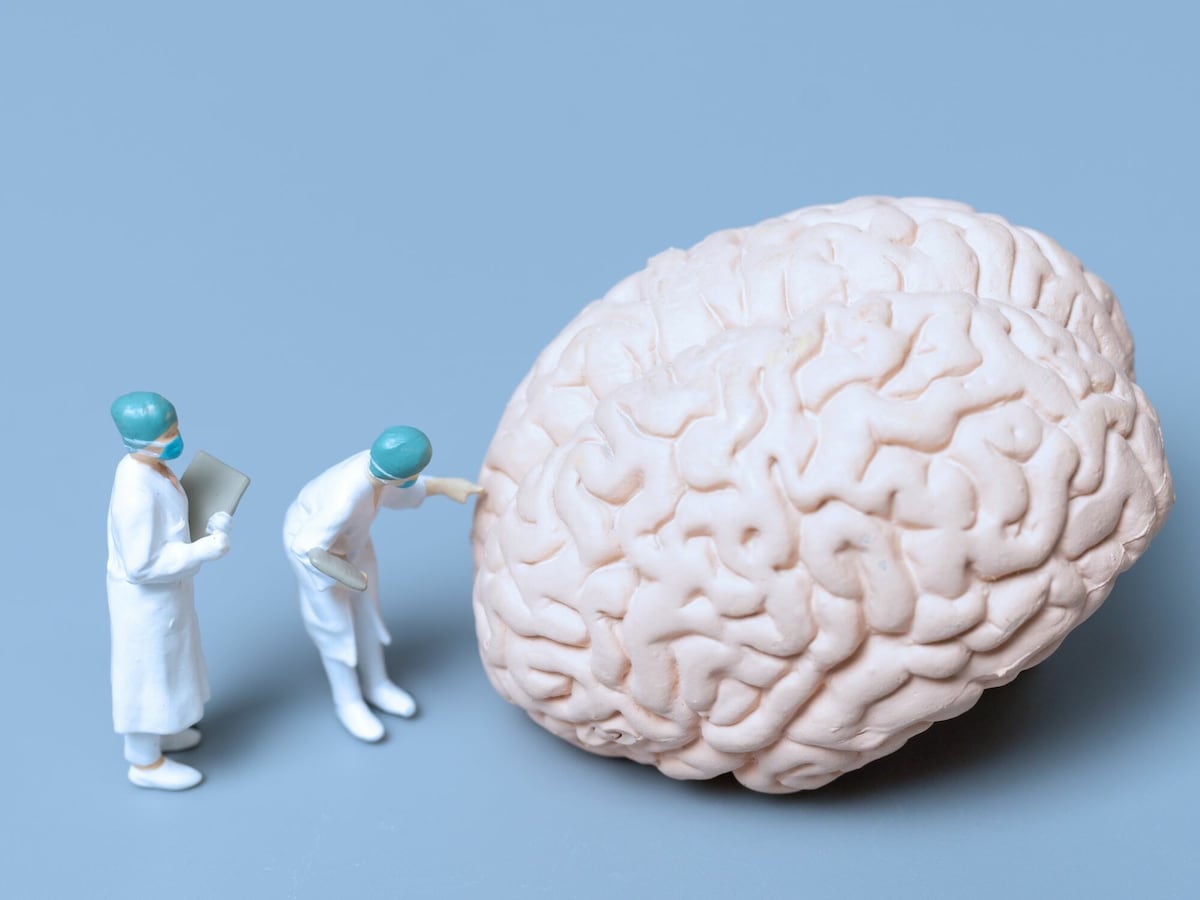 不安とうつの脳と心のメカニズム 感情と認知のニュ－ロサイエンス 不安とうつの脳と心のメカニズム / Stein，Dan J．【著