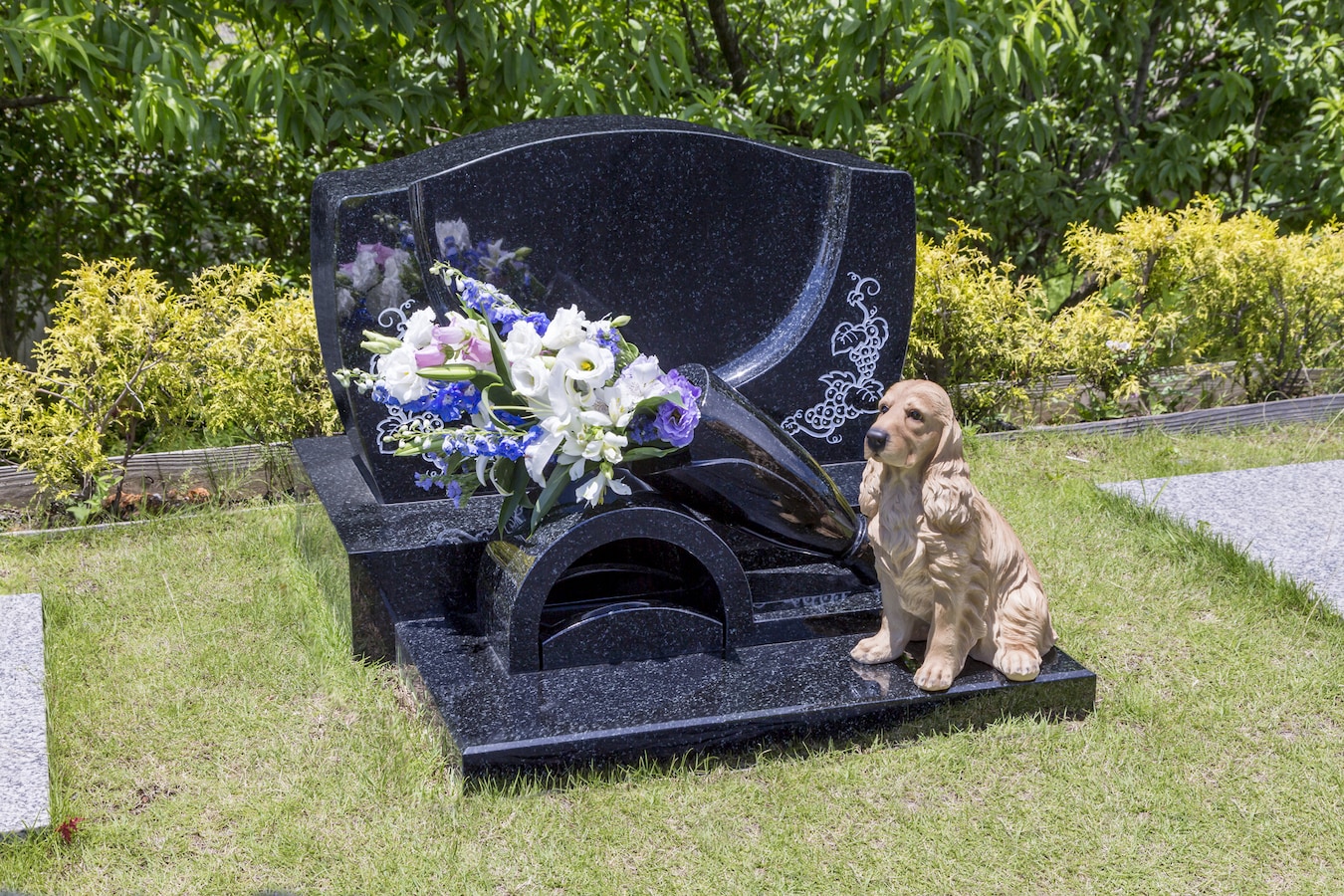 ペット の 遺骨 人間 の 墓
