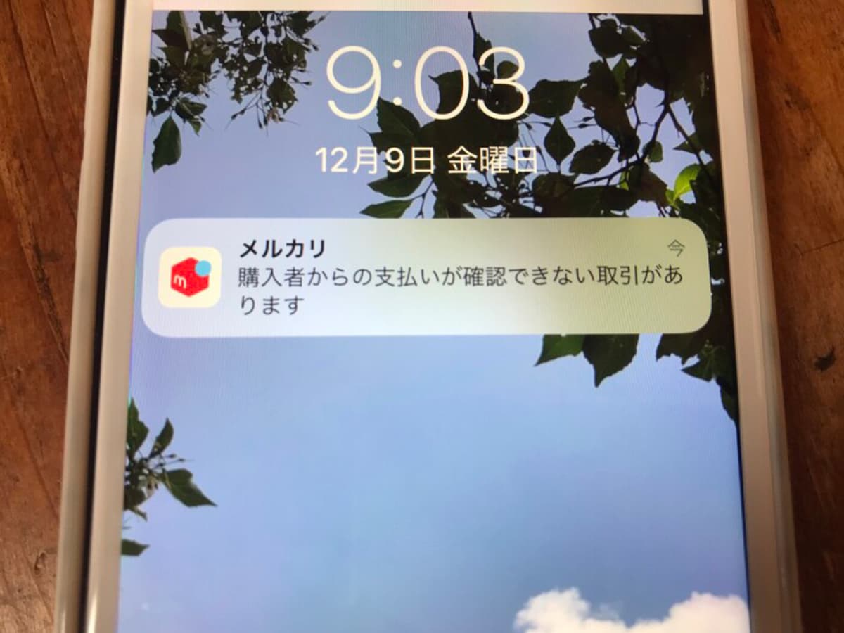 編集中さららさん専用（違う方の支払いはキャンセルとします、ご了承ください。 メルカリで支払いがされなかった場合、出品者はどうなる？ 手続きや