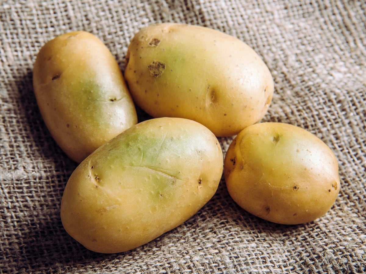 みどりじゃが みどりじゃが