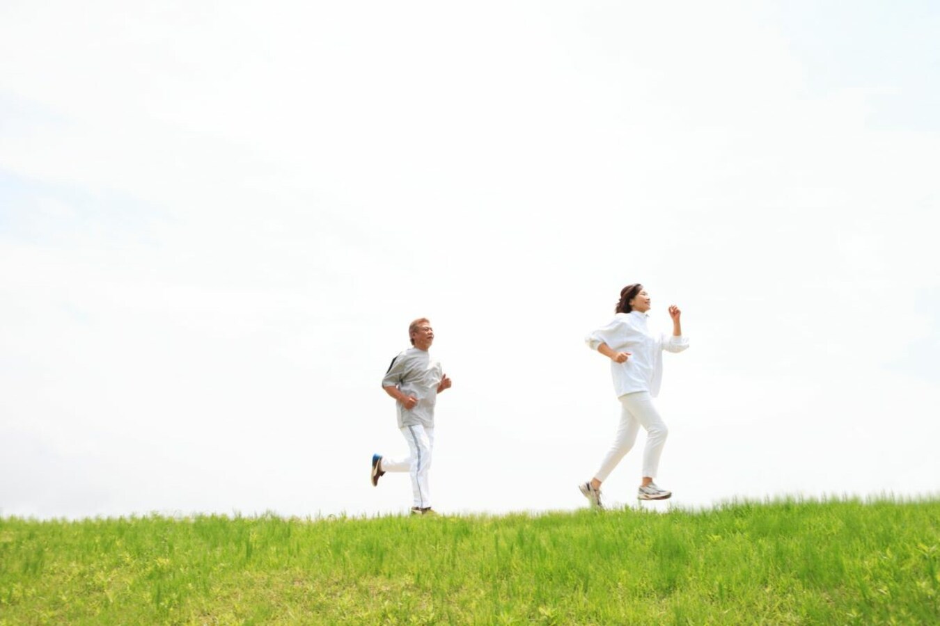 すべての人のためのメディケア vs. 公的オプション