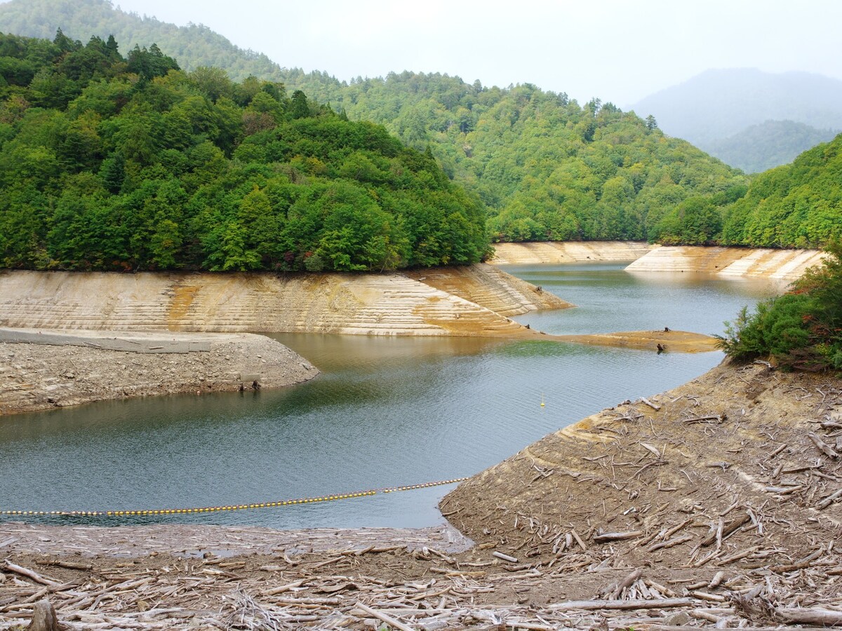 やっと雨、でも安心できない！「30年に1度」の少雨、水不足で注目の銘柄3選 [資産運用] All About