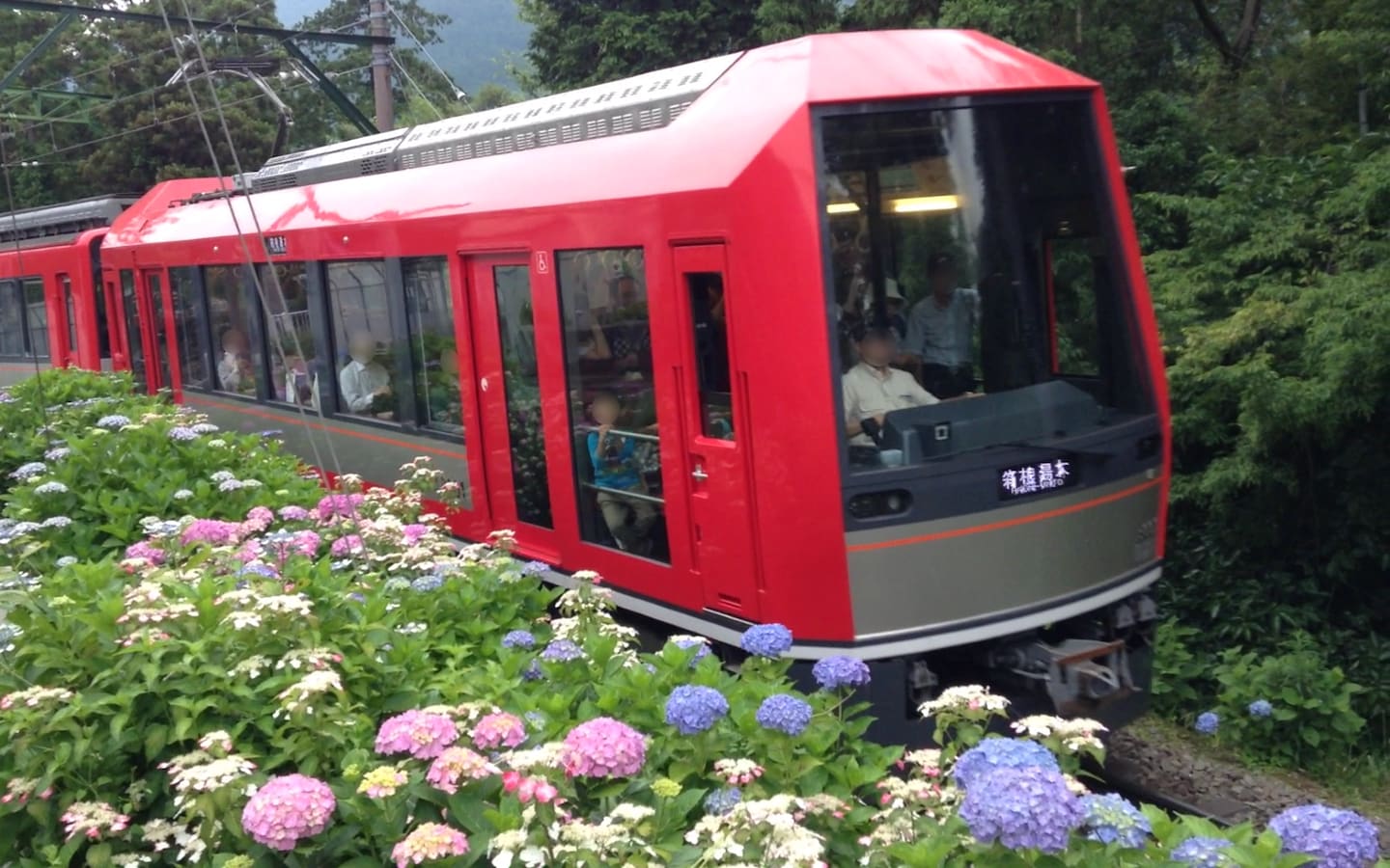 絵画【紫陽花薫る箱根登山鉄道】 あじさい薫る箱根登山電車 ー 鉄道の旅 | エポック社公式