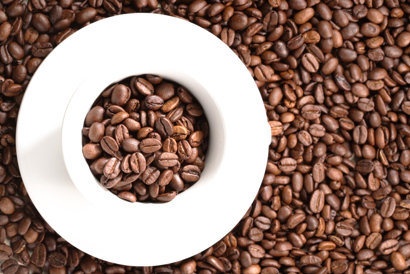 さび止め効果 コーヒーかすで作る針刺し 家事 all about