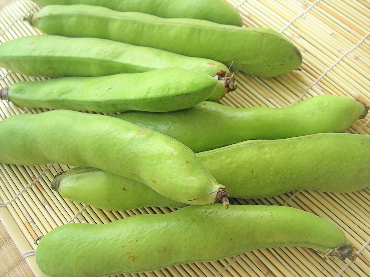 そら豆の選び方 保存方法 下ごしらえ 毎日の野菜 フルーツレシピ All About