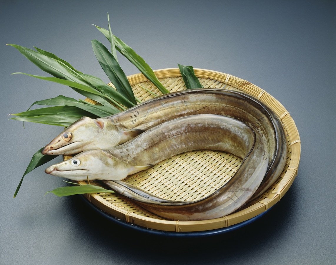 鱧の卵の食べ方とは 煮付けやどんぶりなどおすすめレシピ みんなの投稿レシピ All About