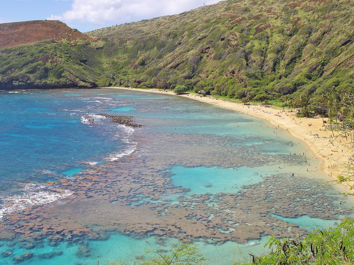 ハナウマベイ ハナウマ湾 の行き方 攻略法 オアフ島 All About