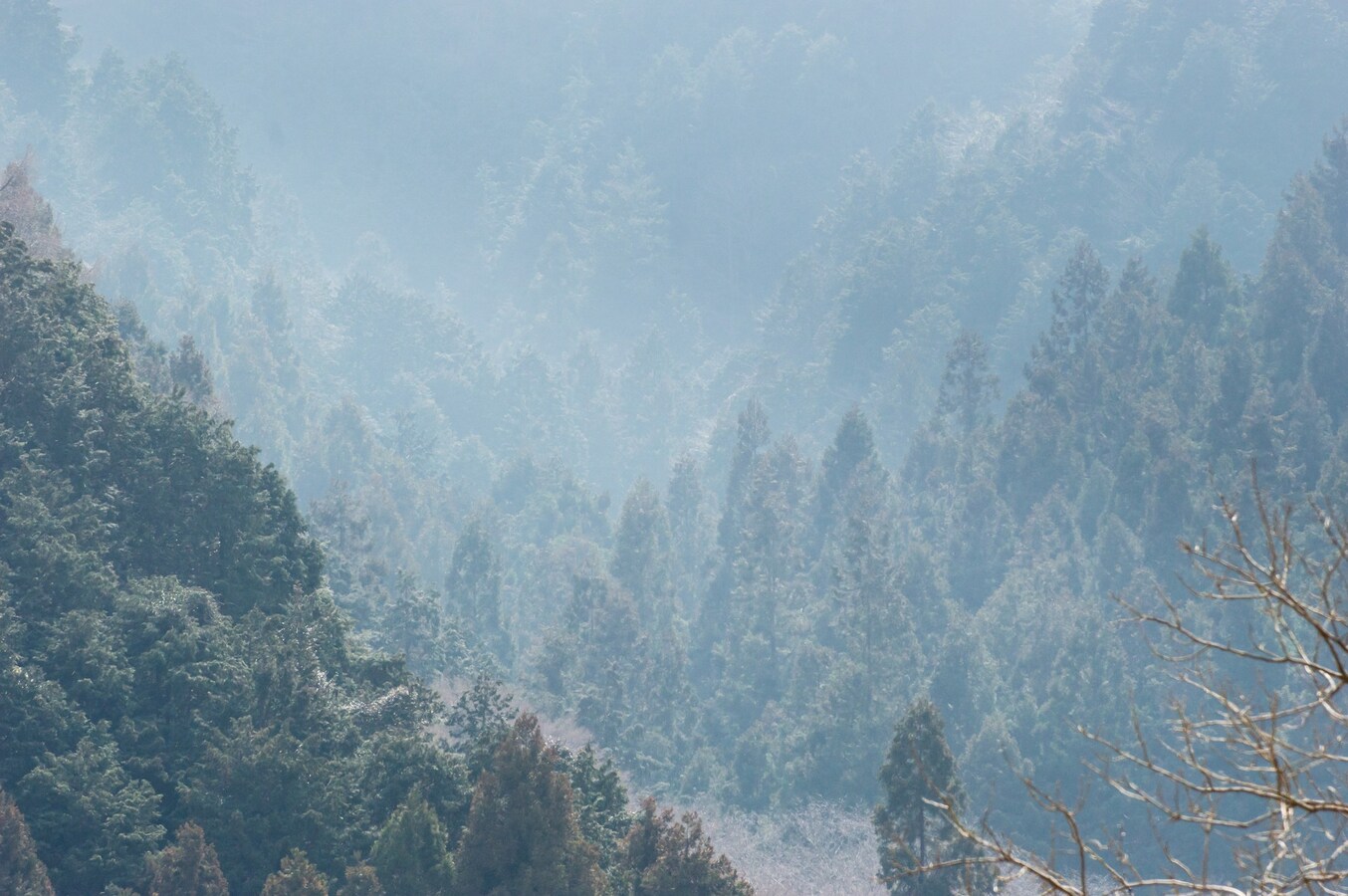 花粉の飛散予測を発表 17年春は 多い 飛散時期は All About News