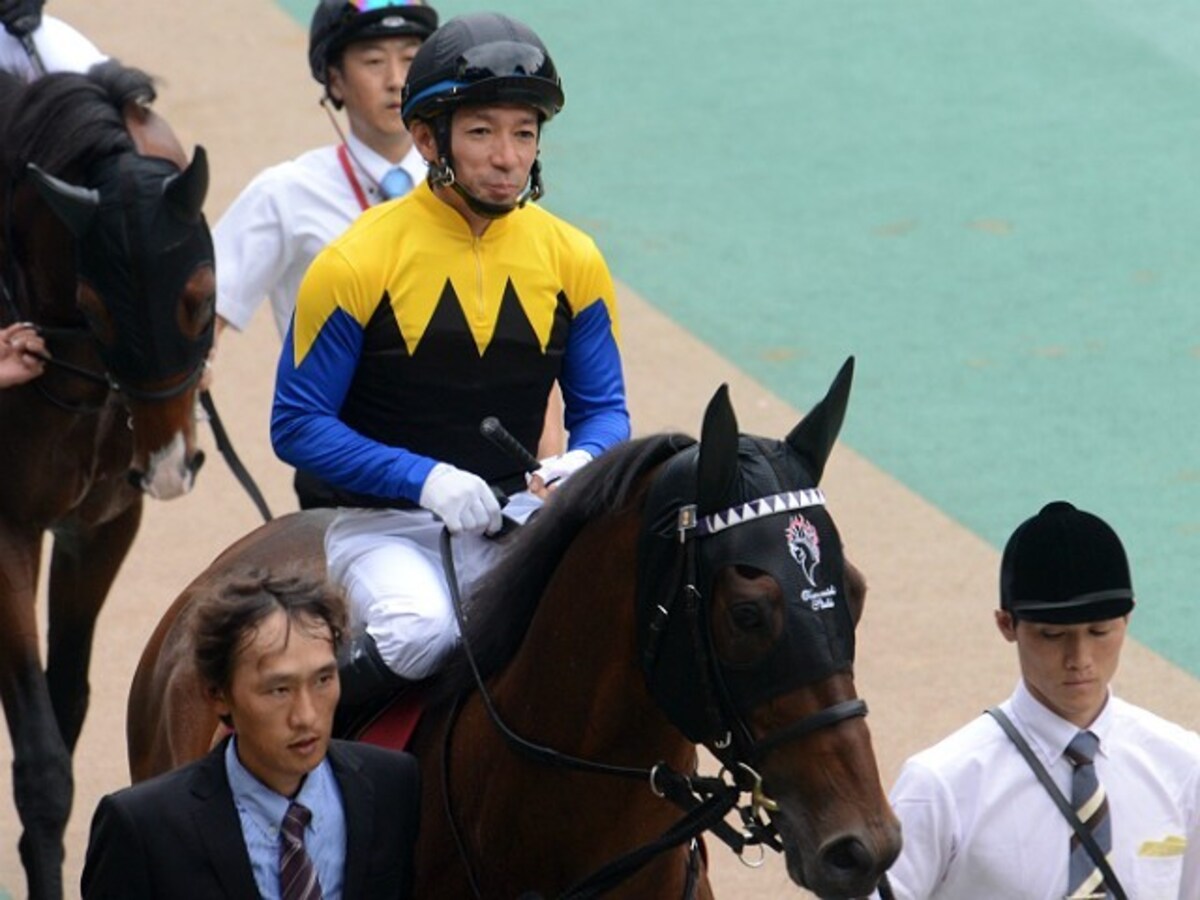 知る人ぞ知る 1 2月の競馬界 出世レース とは All About News