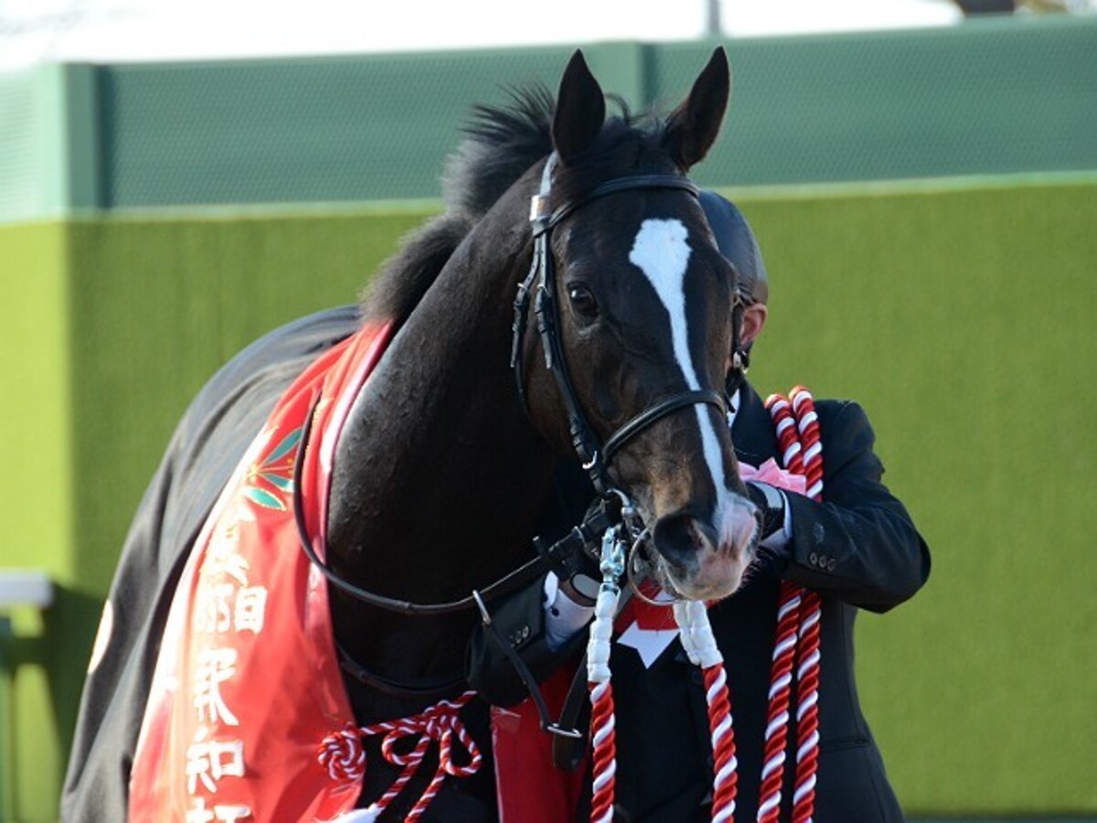 最も速い馬が勝つ!? 第78回皐月賞出走予定馬をチェック！ - All