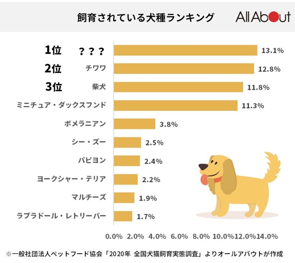 日本で最も多く飼育されている犬種 第3位 柴犬 第2位 チワワ 第1位は All About News