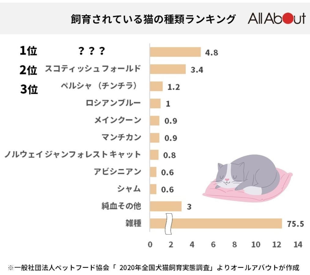 日本で最も多く飼育されている猫 第3位 ペルシャ 第2位 スコティッシュフォールド 第1位は All About News