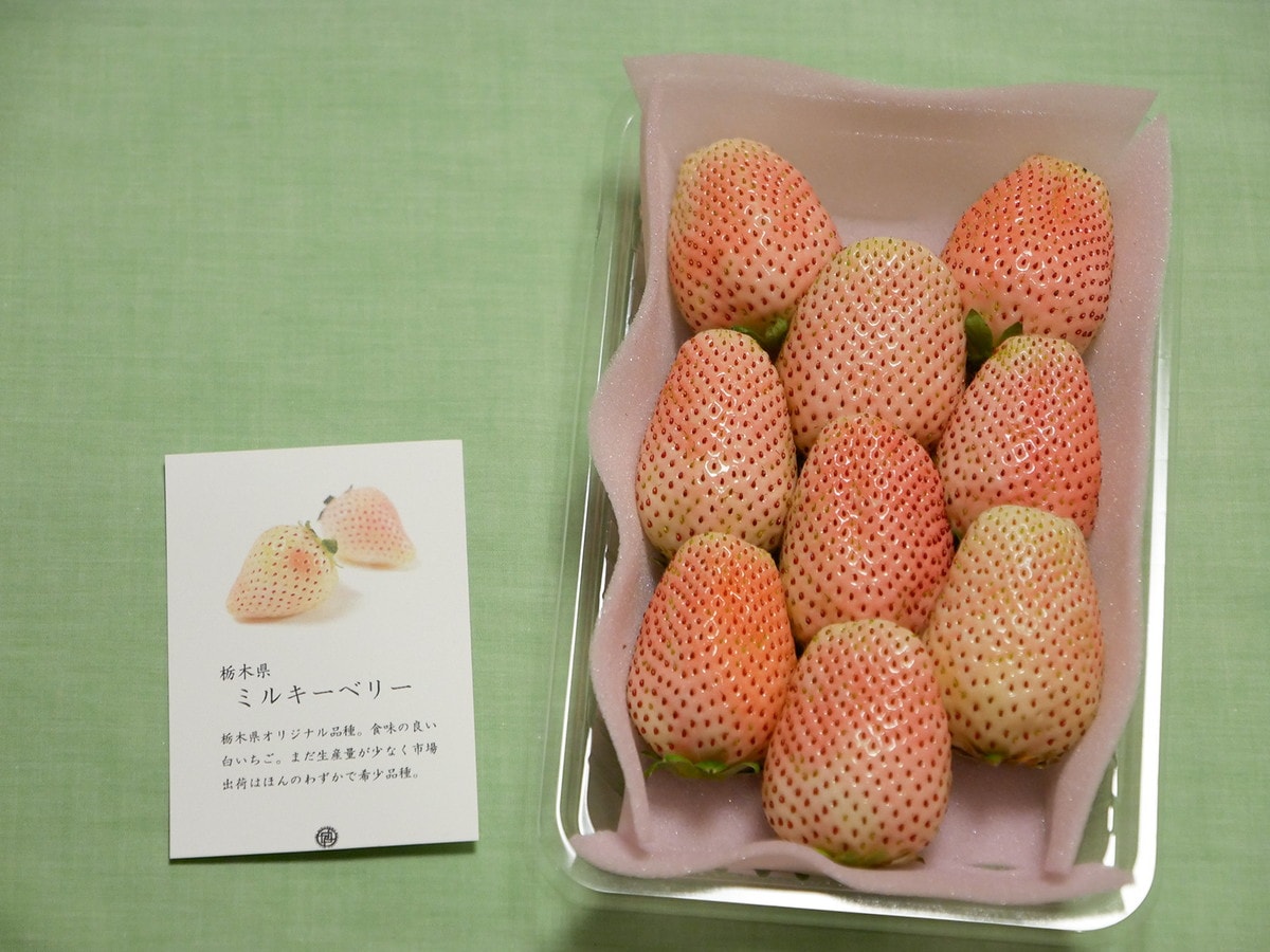 この時期だけの希少なイチゴの販売も。画像は栃木県オリジナル品種の白イチゴ「ミルキーベリー」