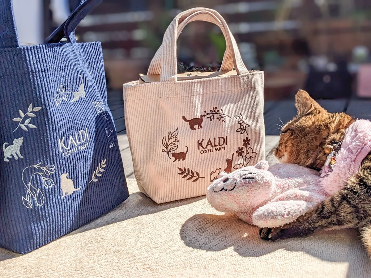 新品未使用 KALDI カルディ オリジナルネコプレート 猫の日バック