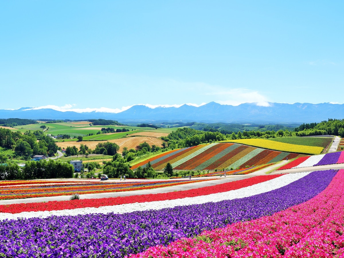 「2023年ゴールデンウィークの国内旅行先」人気ランキング! 3位 沖縄県、2位 北海道、1位は? All About NEWS