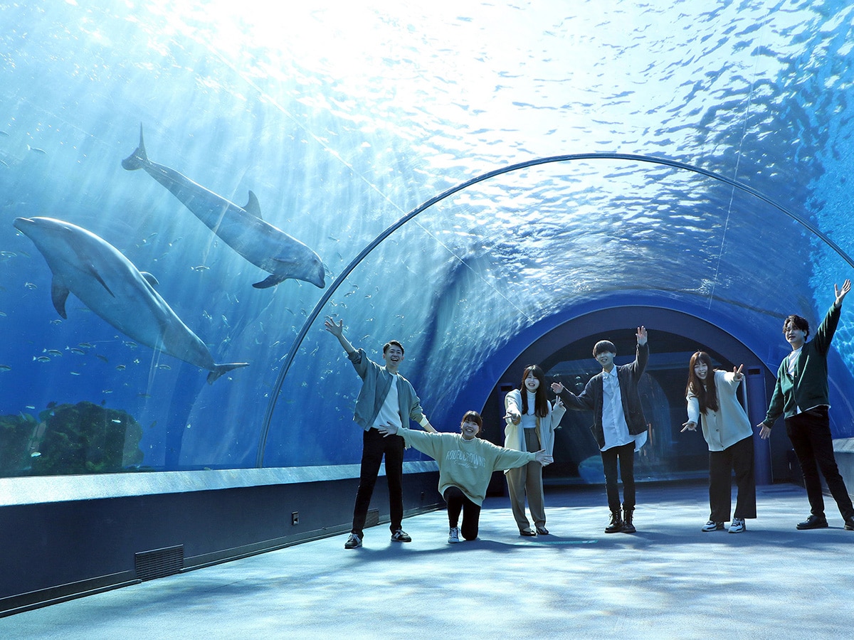 イルカたちが悠々と泳ぐ姿を見られる水族館「ドルフィン ファンタジー」（提供画像）