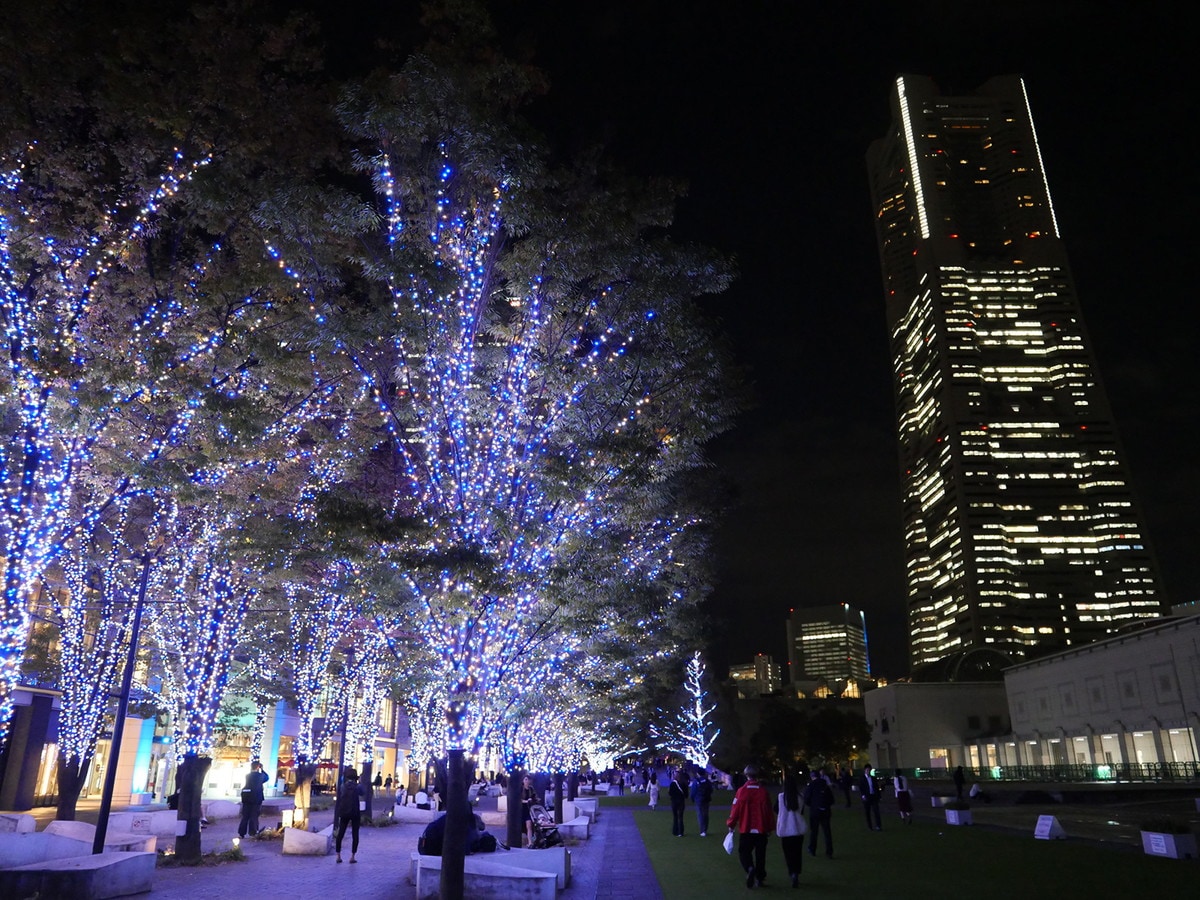 ブルーのイルミネーションに包まれる「グランモール公園」