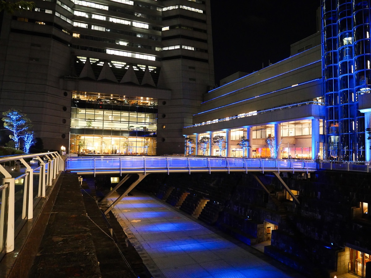 横浜ランドマークタワー ドックヤードガーデンは色が変化