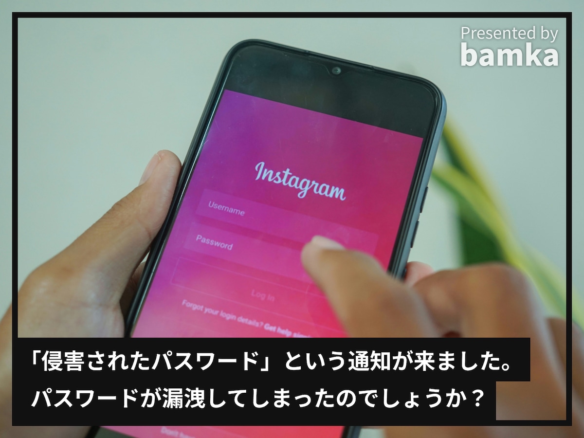 iPhoneに「侵害されたパスワード」という通知が来ました。パスワードが漏洩してしまったのでしょうか？ - All About ニュース