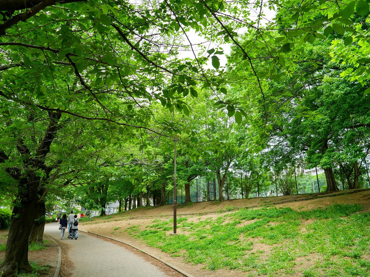 区名の通り、街中に緑あふれる「青葉区」。画像は美しが丘公園