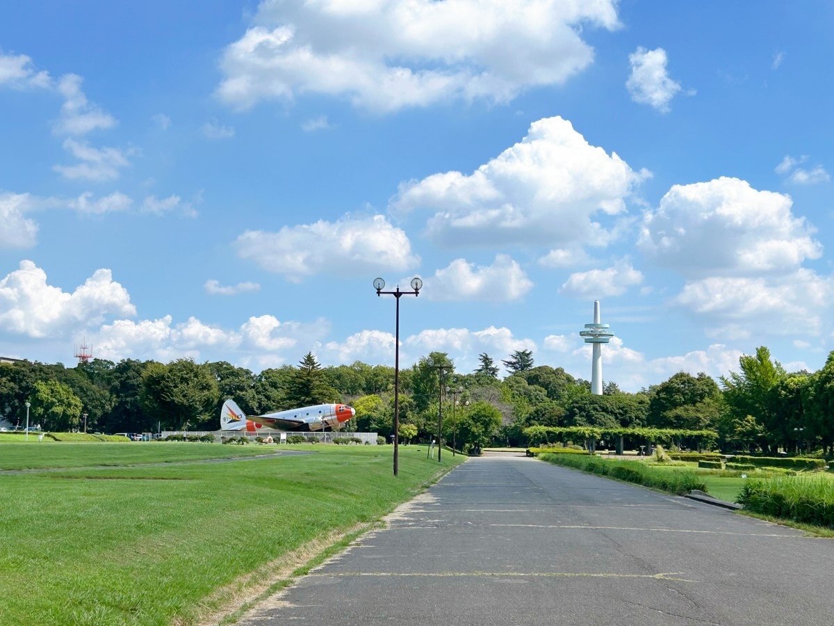 航空公園駅西武新宿線