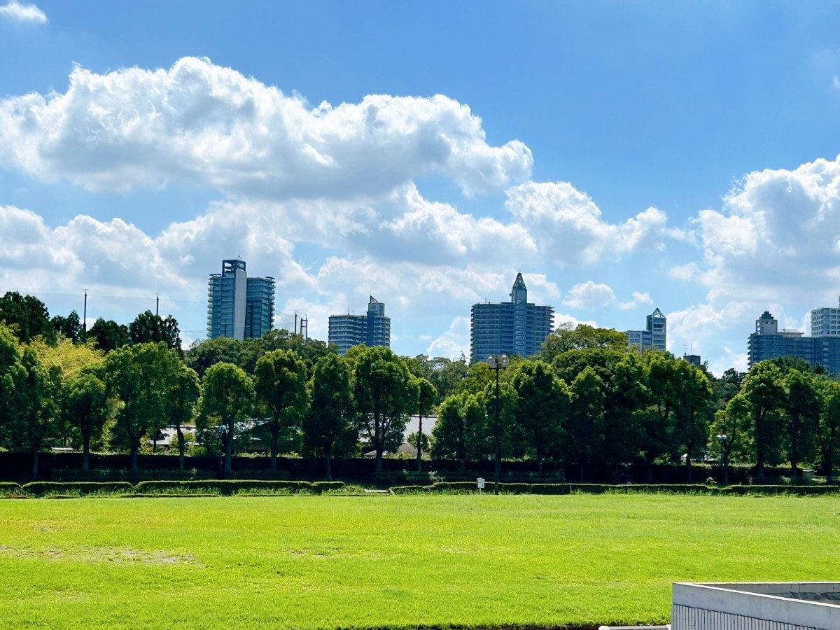 航空記念公園西武新宿線