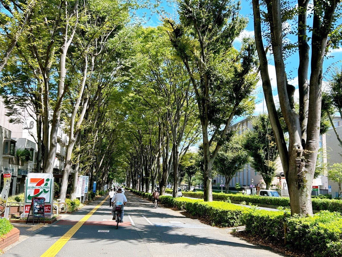 航空公園駅西武新宿線